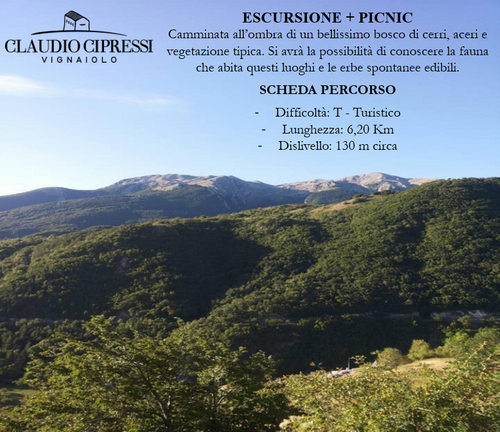 Escursione guidata + picnic - Claudio Cipressi