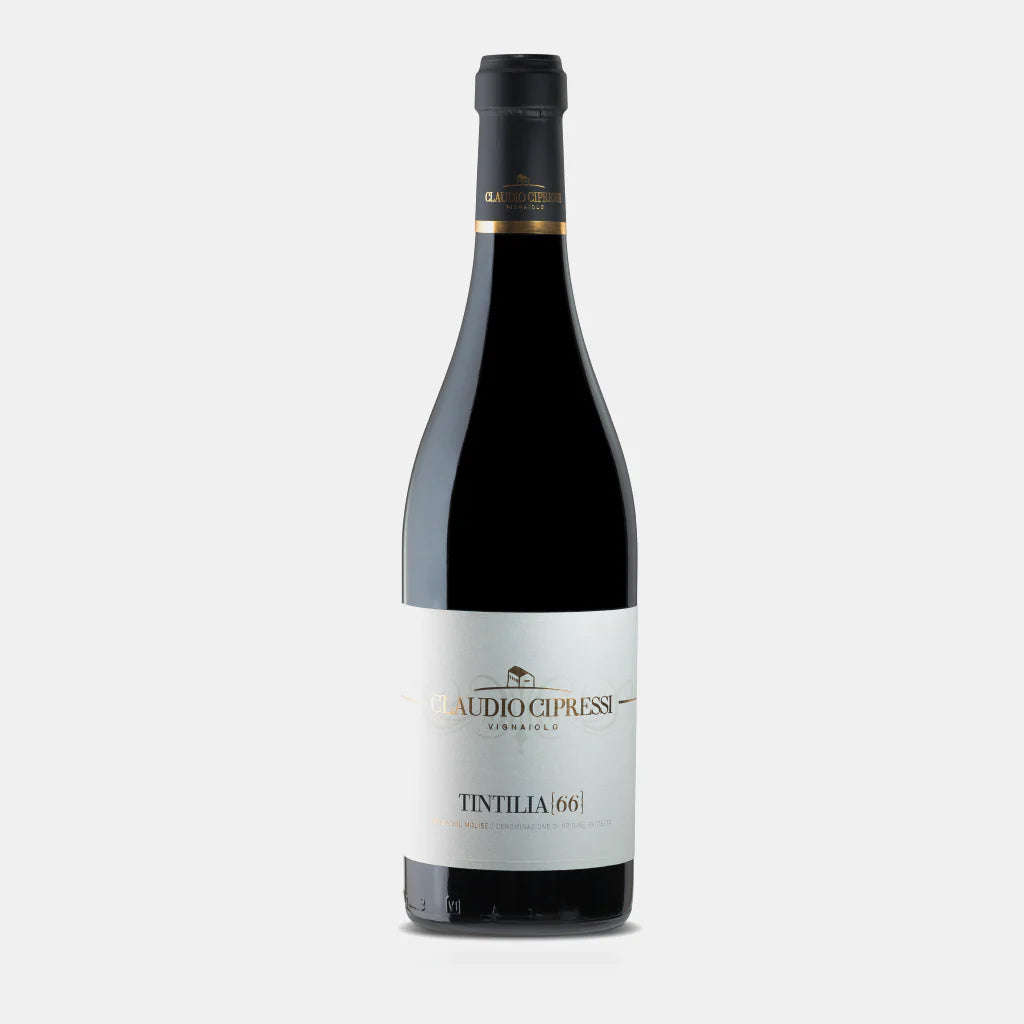 Vertical Premium - Tintilia 66