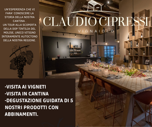 Wine experience - Claudio Cipressi
