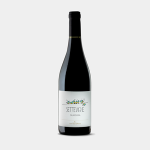 SETTEVIGNE FALANGHINA - IGT Terre degli Osci Falanghina 2023 - 750 mL
